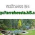 MANTENIMIENTO A JARDINERIA "TERRAFORESTA"