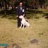 DOGO ARGENTINO - Cachorros de excelente pedigree - Montevideo - Montevideo