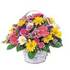 Flowers to India, Gifts to India, Cakes to India at the same day.
