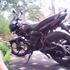 Imagen_009_thumb