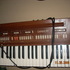 Organo_thumb
