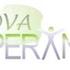 Comunidade Terapêutica Grupo Nova Esperança SJCampos