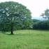 Venta de propiedad en Cebadilla-Turrucares-Alajuela 23 Hect. - 