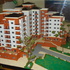 NUEVOS EN ZONA 7