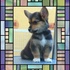 WELSH CORGI PEMBROKE(HEMBRA) - Guanajuato - León