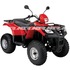 Pioneer_250_thumb