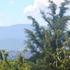 vendo lote en heredia 