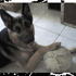 Thor_3_thumb