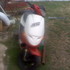 Copia_de_moto_z60111_thumb