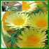 Margaritas_1__thumb