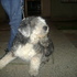 Dsc00326_thumb