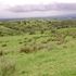 VENDO FINCA EN LAS NUBES DE CORONADO DESDE LO $8 M2  EN ADELANTE