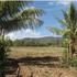 FOR SALE LAND NEAR BEAH EL GIGANTE IN TOLA RIVAS