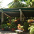 Copia__2__de_dsc03493_thumb