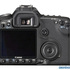 Canon EOS 50D 15.1MP SLR Digital Camera    - Kingston - Kingston