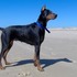 Charas_a_cabo_polonio_028_thumb