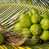Cocos verdes