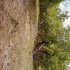 vendo 8 lotes en sardinal de carrillo