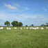 FAZENDA EM BATAGUASSU - MS - 300 ALQS - FAZ 72