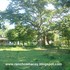 Rancho 105 hectareas,Puebla,Veracruz,en venta,rio,manantial