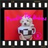 **** VERDADEIROS BIBELOS ** POODLE MICRO  E  POODLE TOY **** 