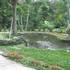 vendemos hermosas fincas, quintas en san francisco cund 2788721 - Bogotá - Bogotá