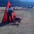 *** ADIESTRAMIENTO CANINO  PROFESIONAL **