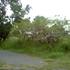 20061031175440605818000000-o_1__thumb