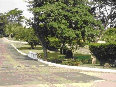 how to trim a boulevard cypress pom pom