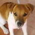 Mama_thumb