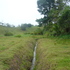 vendo precioso terrreno barrio el bosque, la Fortuna, san carlos
