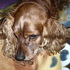 Imagen_022_thumb