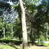 Terreno_2_thumb