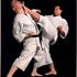 ACADEMIA DE KARATE TRADICIONAL  - Lima Metropolitana y Callao - Lima