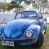 Motores_con_el_rufo_002_thumb