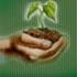  Fitoterapia, Hidroterapia, Medicina natural