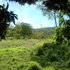 Foto-0711_thumb