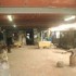 Galp-boleita_1__thumb