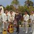 Mariachi3_thumb