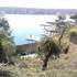 Teques_1_thumb