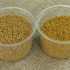 Polen 50 grs. $900