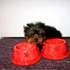 yorkie puppies for adoption