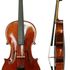 !!!!VIOLA ACUSTICA Q600 remato!!!! 