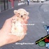 French_tacita_de_te_20090805_1642633266_thumb