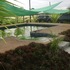 ALQUILO BUNGALOW MONTERRICO - CANDELARIA