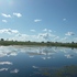 Hpim5937_thumb