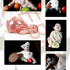 Bebes_promo_logo_pequeÑo_thumb