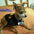 Tito2_thumb