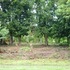 Id5151 - Terreno en Venta - Jinotepe - Carazo