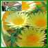 Margaritas_thumb